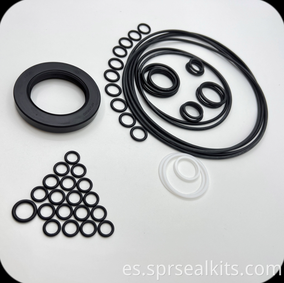 19 Hydraulic Pump Seal Kit